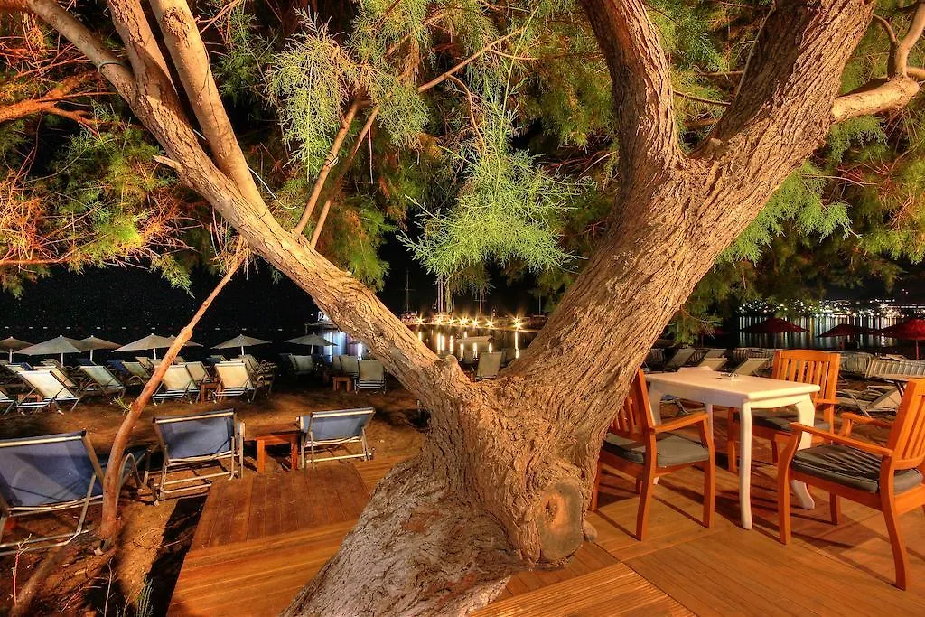 Meggs Bodrum Beach Restaurant & Hotel Ortakent Turkey