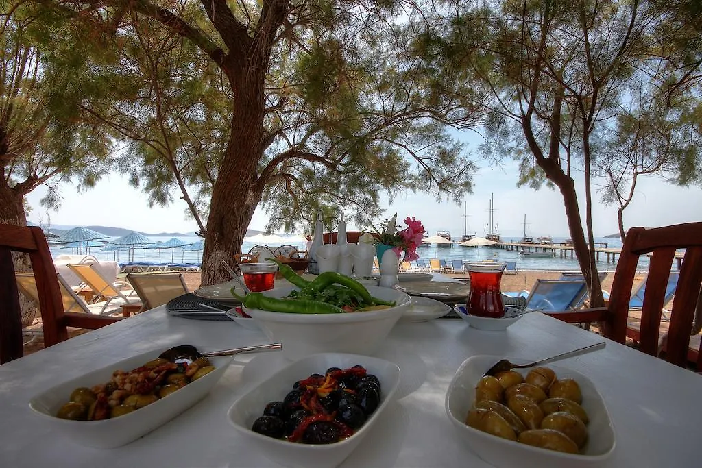 Meggs Bodrum Beach Restaurant & Hotel Ortakent Bed & Breakfast