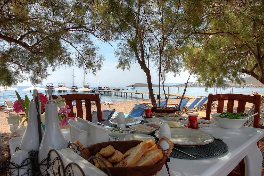 Meggs Bodrum Beach Restaurant & Hotel Ortakent